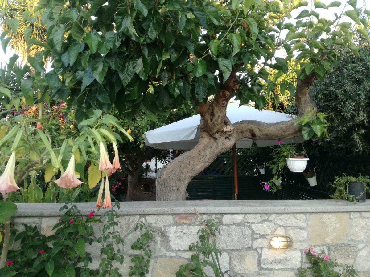 Chez Athena/ Vacation Home For 6 In Chania Tavronitis Extérieur photo